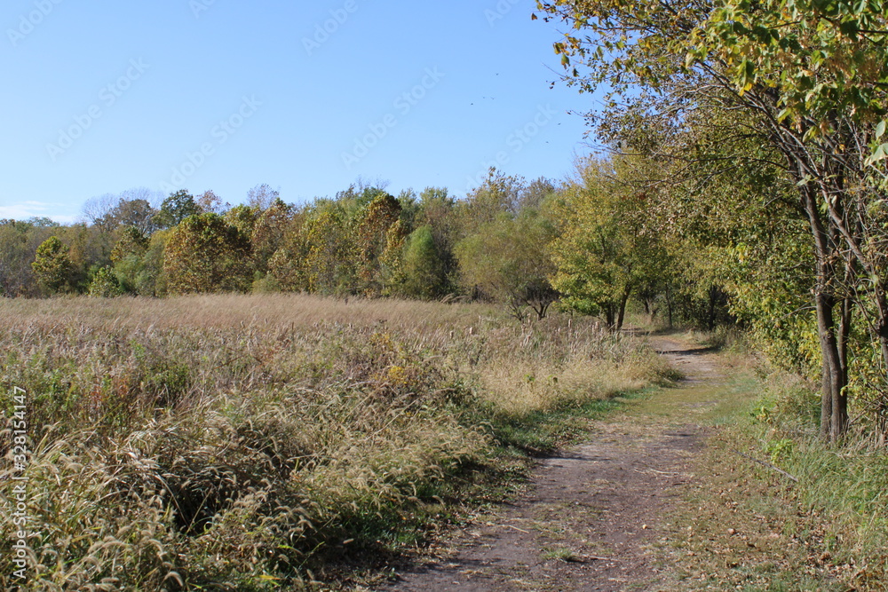 path between the prairie and forest
