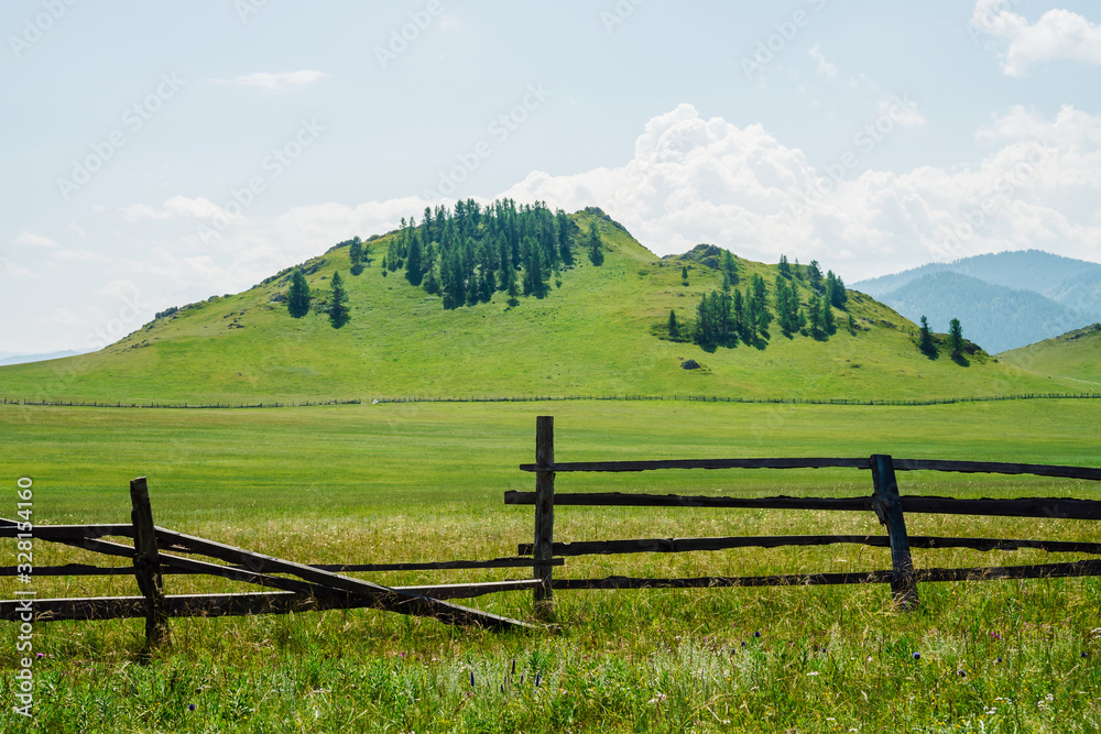 Beautiful sunny landscape with green forest mountain and vast field with long fence. Hill with coniferous trees on top. Vivid scenery with flat field behind wood fence in mountains. Scenic alpine view