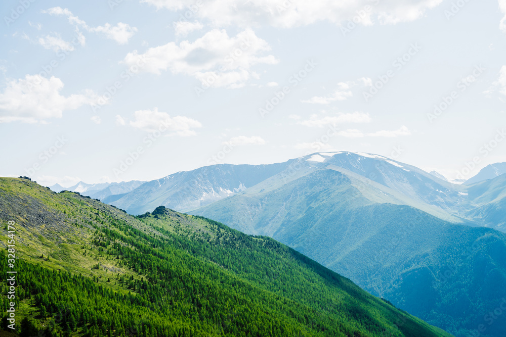 Beautiful aerial view to green forest hillside and great snowy mountains. Awesome minimalist alpine landscape of vast expanses. Wonderful vivid scenery with green mountain with coniferous forest.