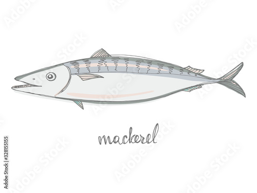 Mackerel. Seafood design elements. Seafood / fish menu, poster, label etc. Hand drawn illustration in marker sketch style. Colorful vector illustration.