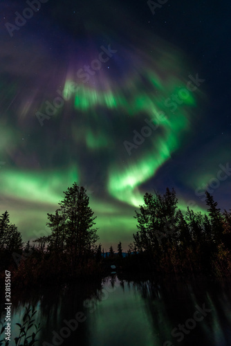 Incredible Phenomenon Aurora Borealis Green and Purple Northern Lights Shine Bright in Alaska Starry Night Sky over Trees with Reflection in Water of Pond