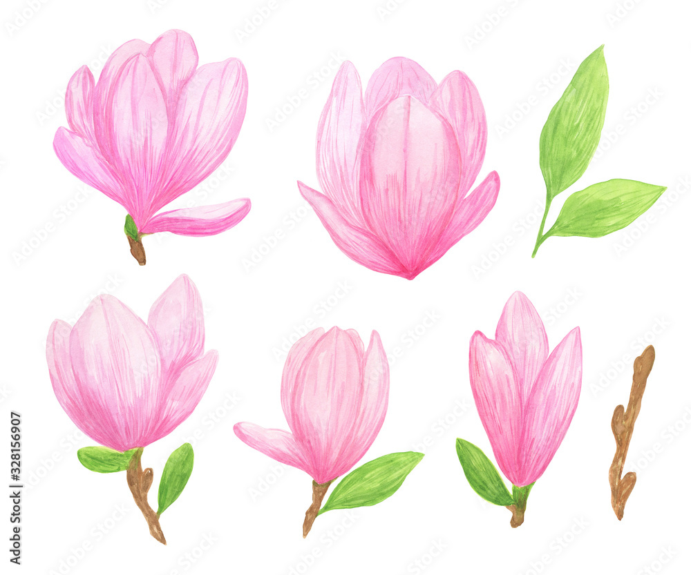 Set of pink magnolia wild flowers in a watercolor hand drawn style isolated simple illustrations Set of pink magnolia wild flowers in a watercolor hand drawn style isolated simple illustrations