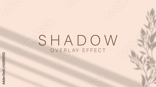 Shadow overlay effect. Transparent soft light and shadows from branches, plant, foliage and leaves. Mockup of transparent leaf shadow overlay effect and natural lightning. Vector mock up gradient mesh