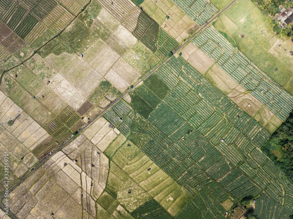 Ariel view of agricultural fields Ariel view of agricultural fields