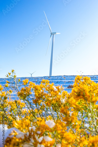 Wind turbines in a field with blue sky photo