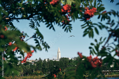 Scenic landscape of tower through rowanberry tree in summer photo