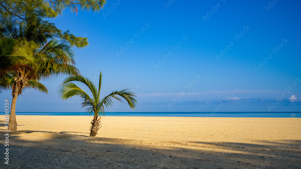 Karibischer Strand mit zwei Palmen