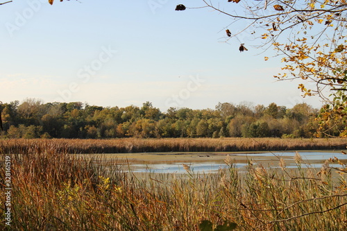 autumn lake