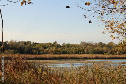 autumn in the park