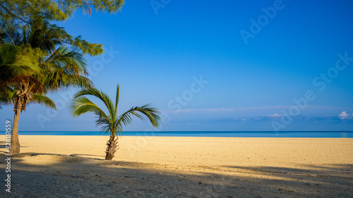 Karibischer Strand mit zwei Palmen