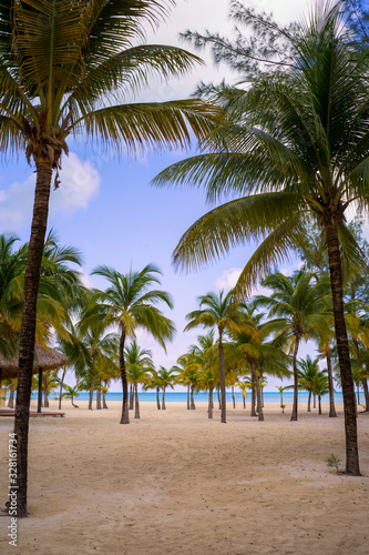 Fototapeta Naklejka Na Ścianę i Meble -  Karibischer Strand mit Palmen