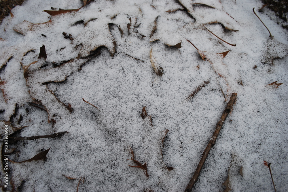 Snowy Ground Snowy Ground
