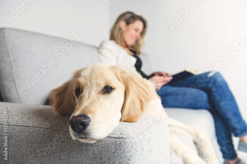 A woman with her golden Retriever dog on the sofa reading book