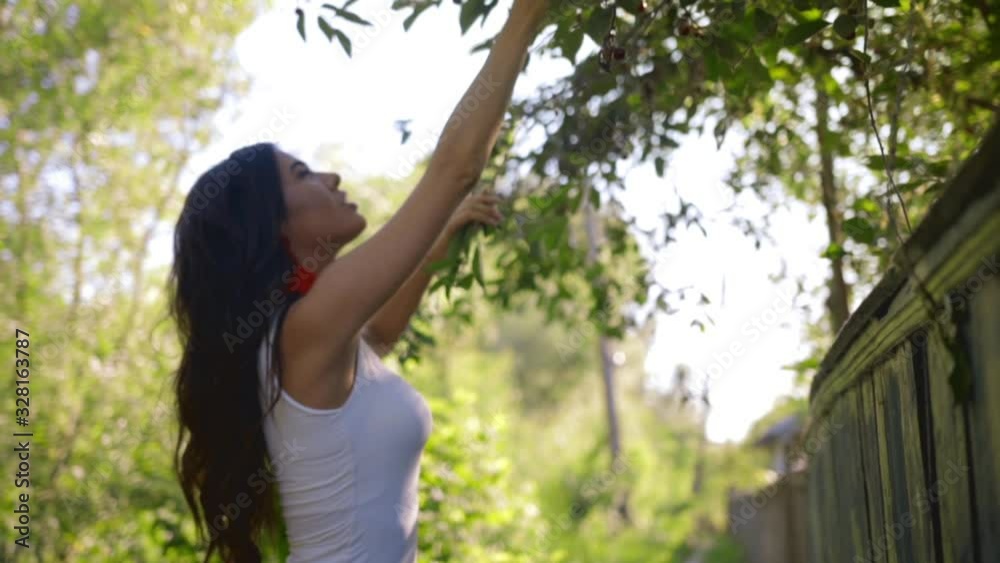 Tanned young woman with sexy lips and shiny curly hair eats red cherries from a tree in sunlight. Beautiful brunette smiles and gently touches branches with transparent green leaves in summer garden. Tanned young woman with sexy lips and shiny curly hair eats red cherries from a tree in sunlight. Beautiful brunette smiles and gently touches branches with transparent green leaves in summer garden.
