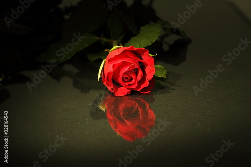 Eine Rote Rose-Spiegelung  Glastisch