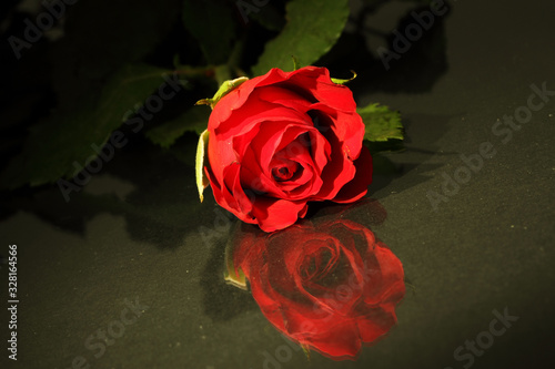 Eine Rote Rose -Spiegelung  Glastisch