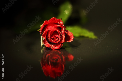 Eine Rote Rose-Spiegelung  Glastisch