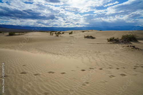mesquite flat sand dunes in death valley  california  usa