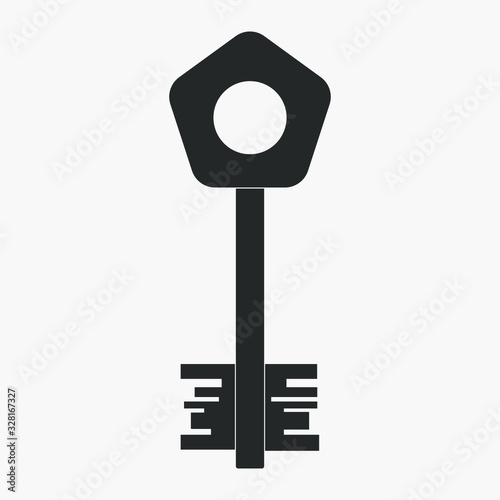 Vector Key icon on white ba...