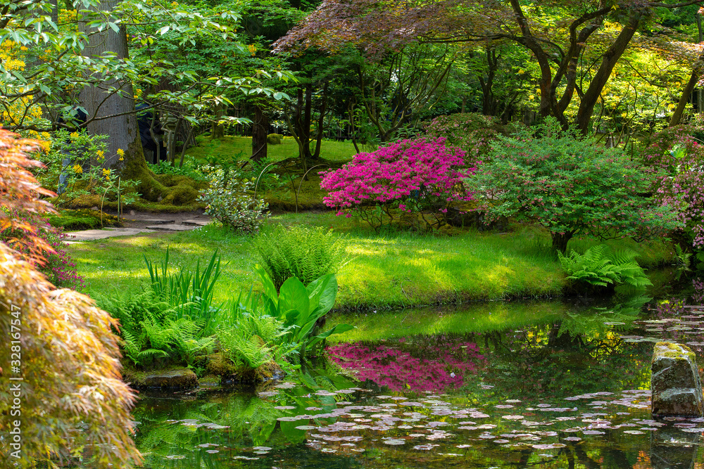 Fototapeta Pond and reflections in Pond .Japanese garden in Hague, japanese garden in bloom at Hague, Netherlands. Idyllic day at May.