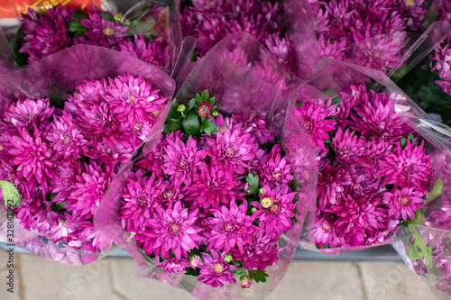 Bouquets of magenta pink chrysanthemum blossom in a flower shop, top view. A bright bouquet of fresh blooming chrysanthemums, a gift for Women's Day
