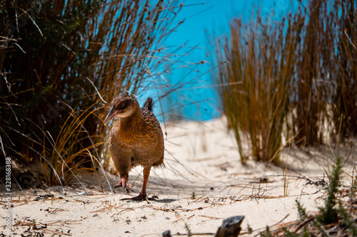 Weka