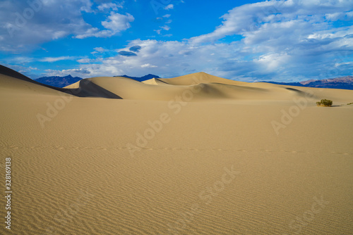 mesquite flat sand dunes in death valley, california, usa