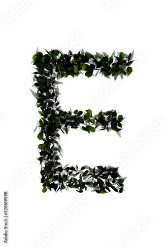 Wallpaper Mural Letter E made of flowers and grass isolated on white. 3d illustration Torontodigital.ca