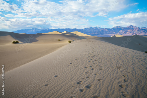 mesquite flat sand dunes in death valley, california, usa