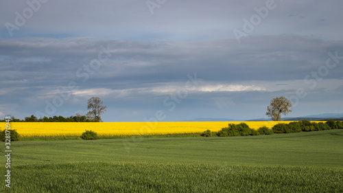 Rural scene with agricultural field