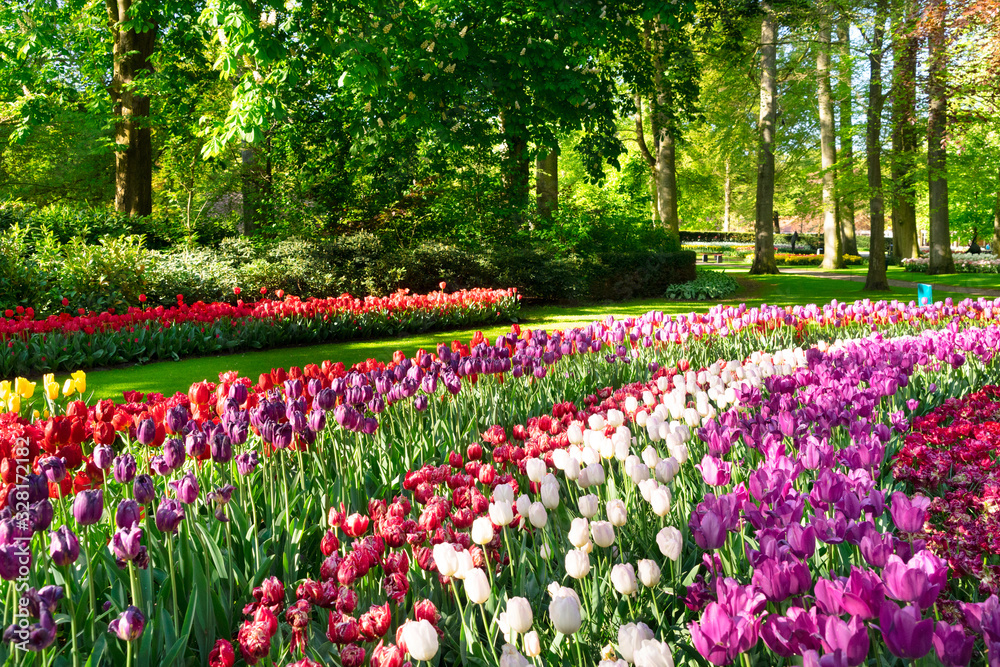 fresh lawn with flowers