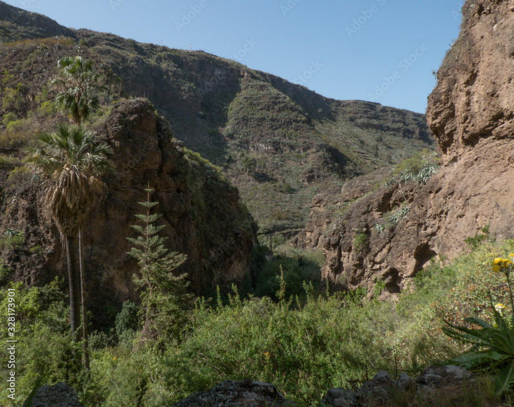 View of the Azuaje ravine in Gran Canaria, Spain