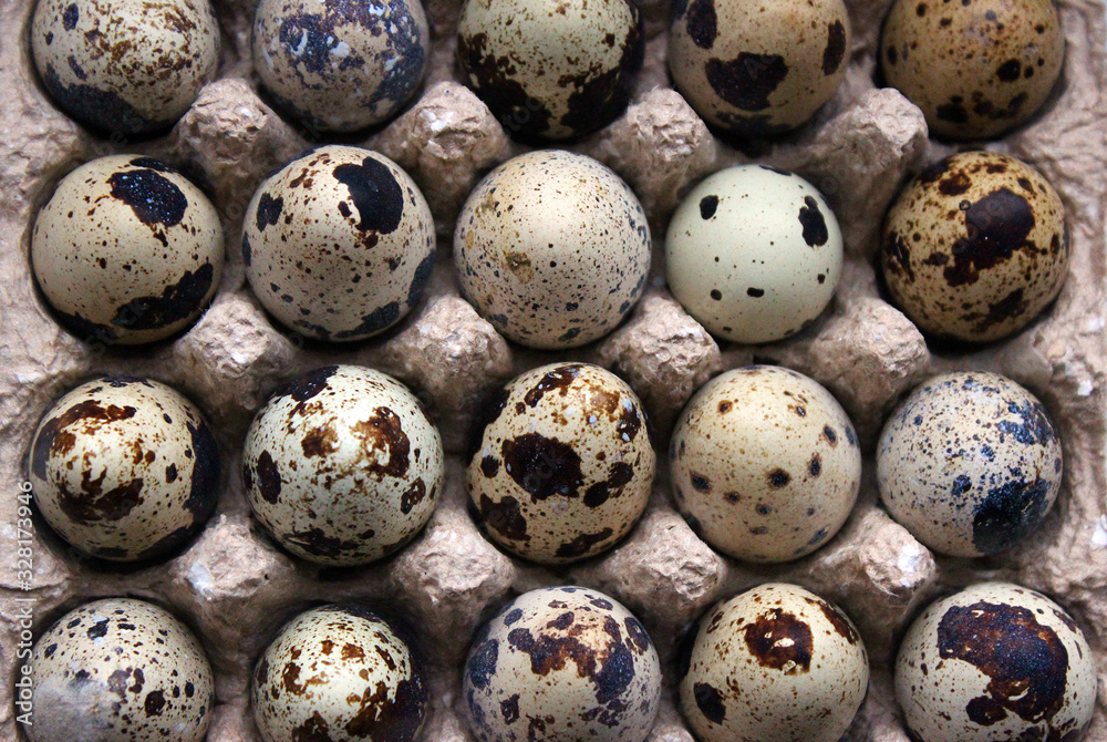 eggs quail spot diet background pattern eggs quail spot diet background pattern