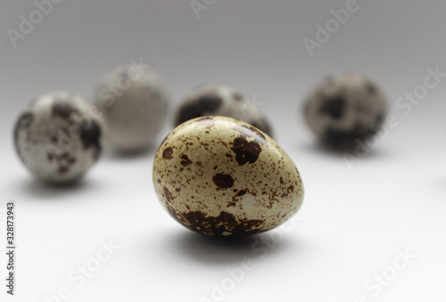 quail egg spot diet background pattern