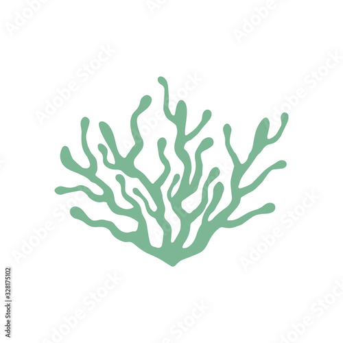 Green bush with white flowers of different shapes. Ornamental plant shrub for decorate of a park, a garden or a green fence. Thick thickets of shrubs. Foliage for spring and summer card design.