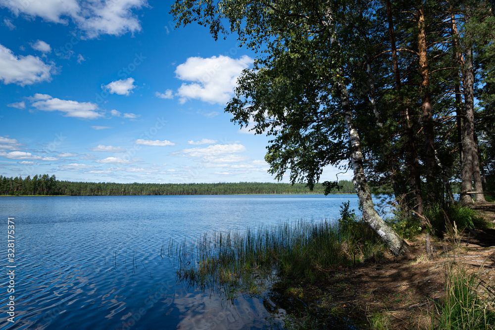 View of the clear forest lake. Lake Moshno.  Pskov region.