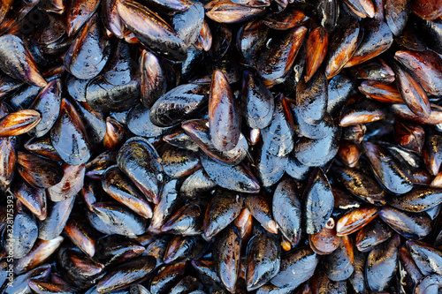 Turkish food, stuffed Mussels