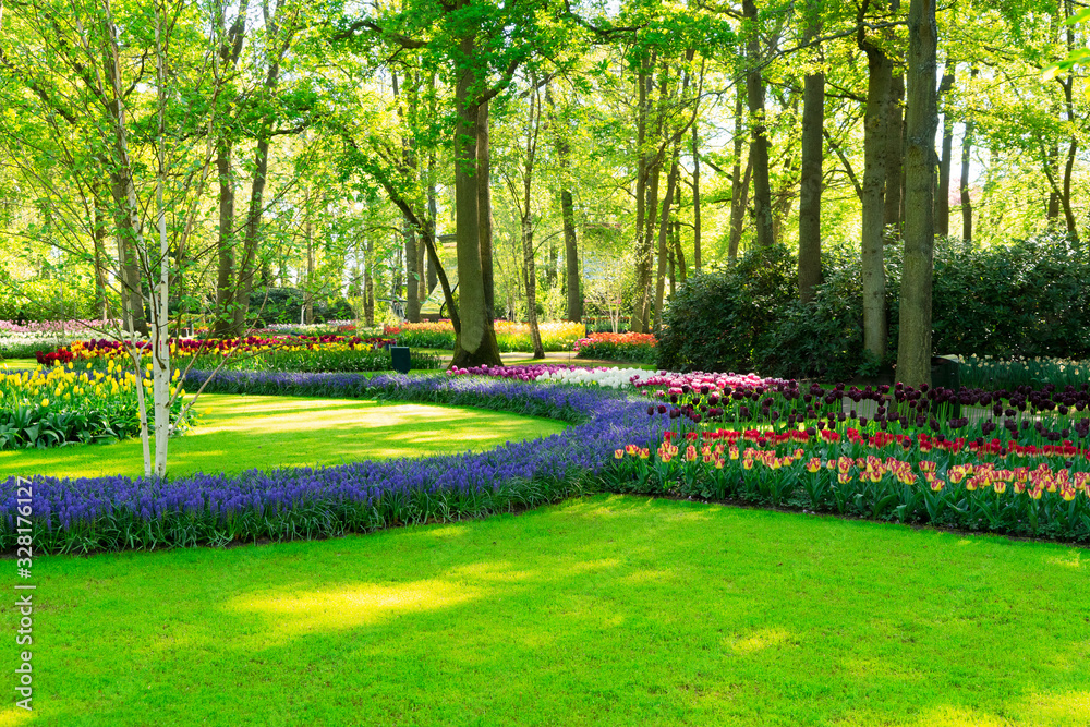 fresh lawn with flowers