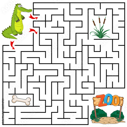 Help Crocodile to find the right path to Zoo, bone, grass. Three entrances, one exit. Answer under the layer. Square Maze Game. Labyrinth conundrum for kids. Education worksheet. Cute cartoon style.