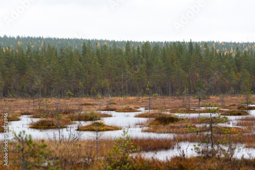 swamp in the Arctic Circle