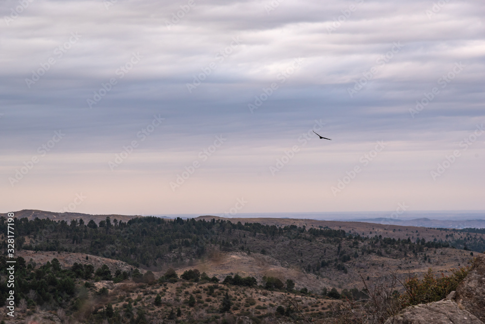 Black vulture, buzzard or black jote flying over a valley with a mountain range on the back Black vulture, buzzard or black jote flying over a valley with a mountain range on the back