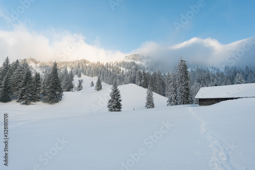Snowshoe tour on the Hochgrat in the Allgau © mindscapephotos