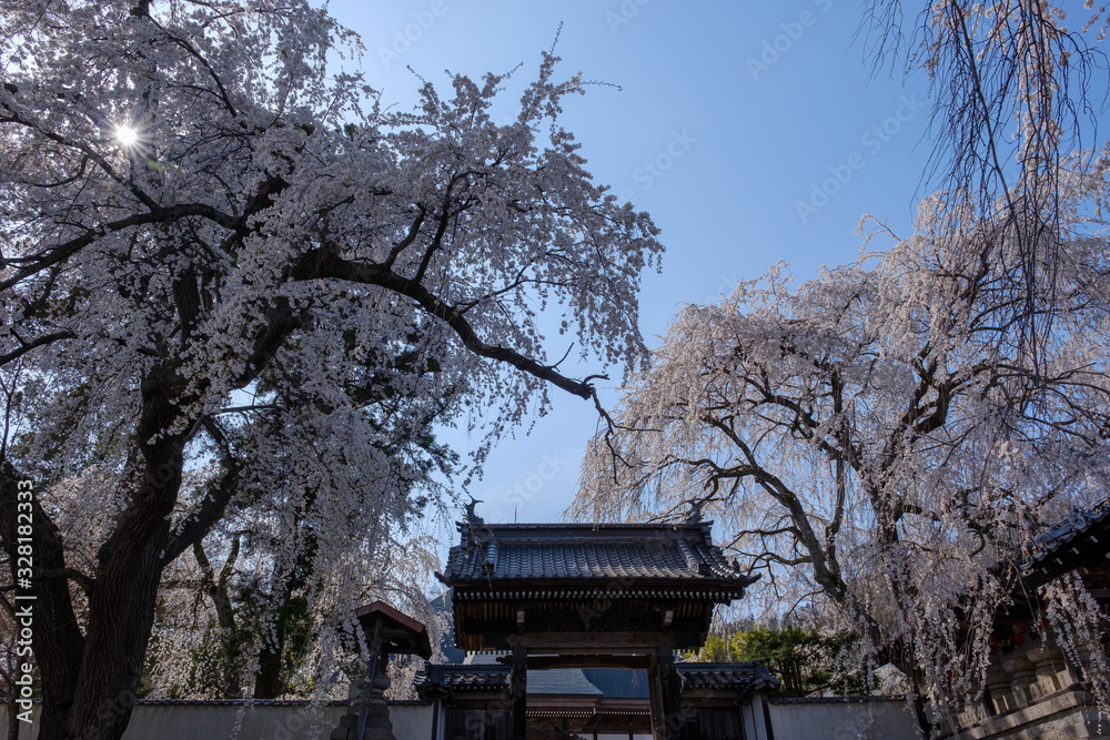光林寺-12 光林寺-12