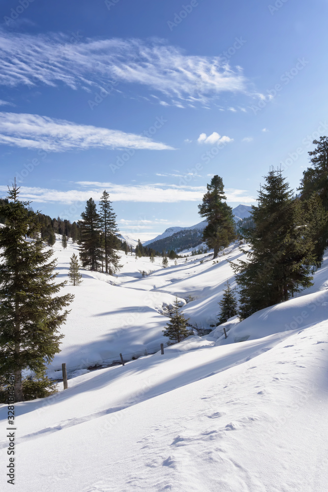 Winter mountain landscape with a stream in the Schonfeld area, Salzburger Lungau, Austria, Europe. Winter and Christmas background. Vertical image.