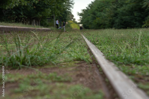 Macro on an abandoned railroad track with grass around it. With shallow depth of field