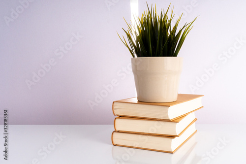 Book and green grass with ecosystem concept.