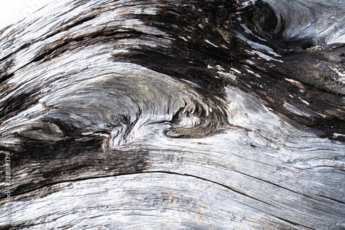 Driftwood Texture © Ryan