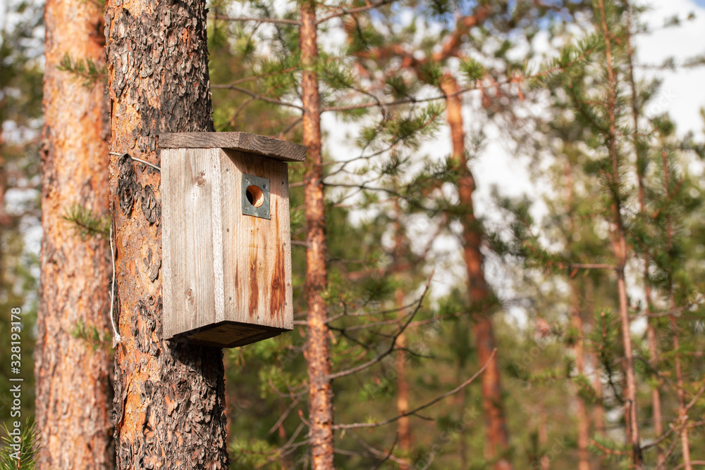 Rouge rural birdhouse on the tree in finland forest