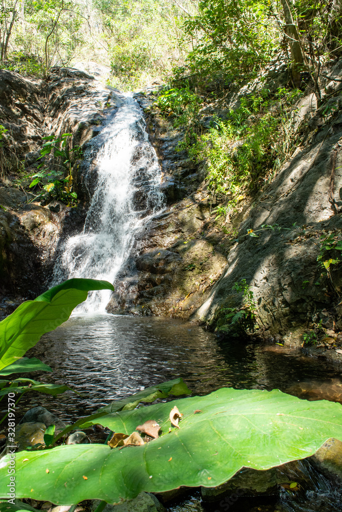 Fototapeta premium la sidra