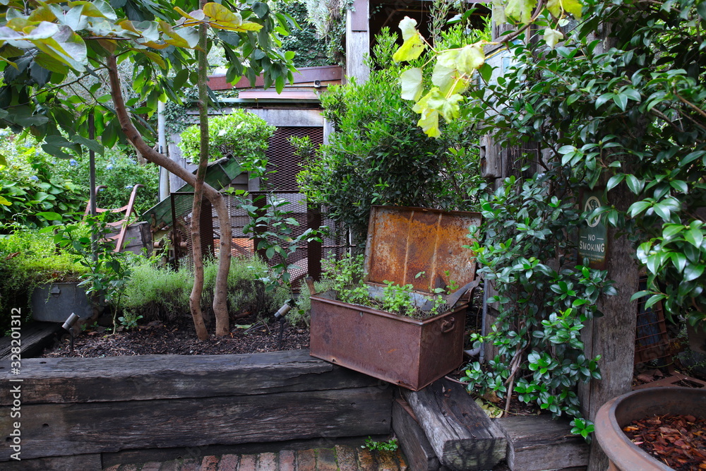 Beautiful and colourful garden in Sydney NSW Australia with nice green plants and great vibrant colours Beautiful and colourful garden in Sydney NSW Australia with nice green plants and great vibrant colours